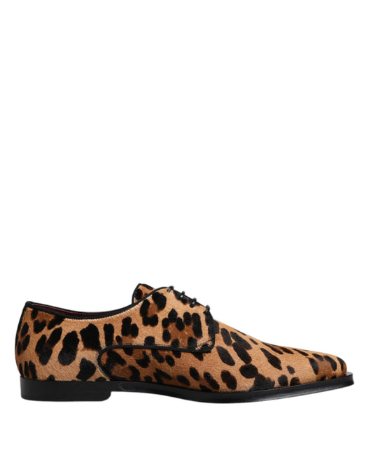 Кафяви леопардови официални мъжки обувки Dolce &amp; Gabbana Derby